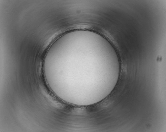 X0000110920110200907021508
