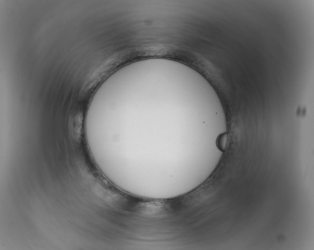 X0000110920118200907021508