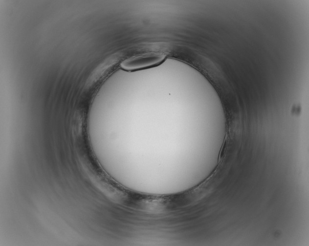 X0000110920120200907021508