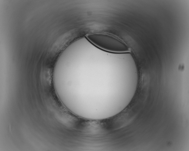 X0000110920121200907021508