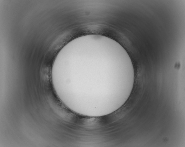 X0000110920122200907021508