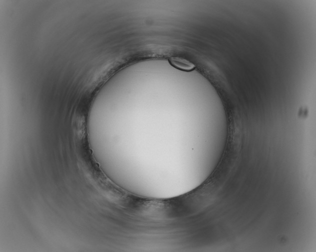 X0000110920123200907021508