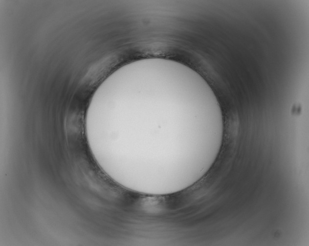 X0000110920126200907021508