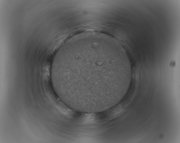 X0000110920127200907021508