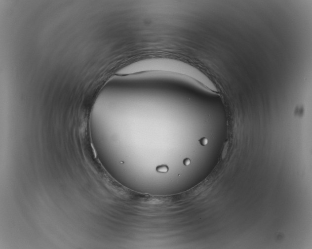X0000110920129200907021508