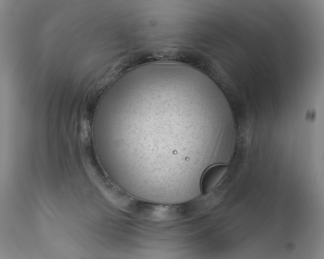 X0000110920130200907021508