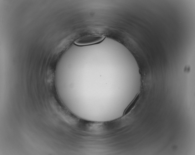 X0000110920132200907021508