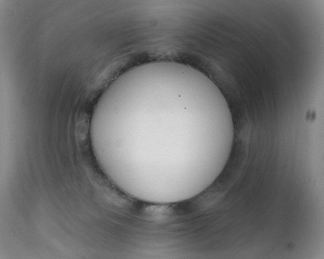 X0000110920133200907021508
