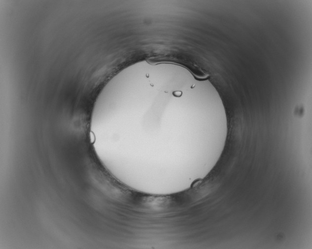 X0000110920135200907021508