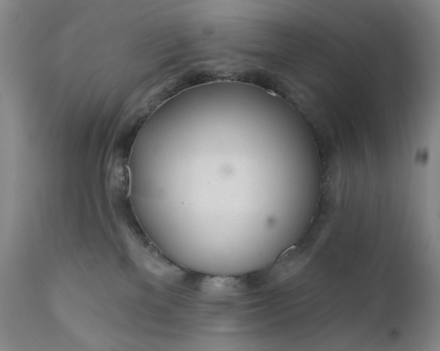 X0000110920137200907021508