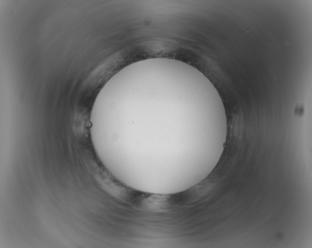 X0000110920138200907021508