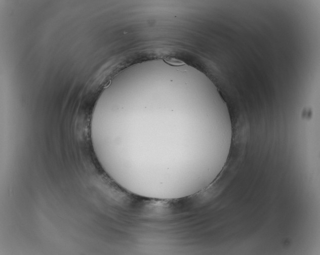 X0000110920140200907021508