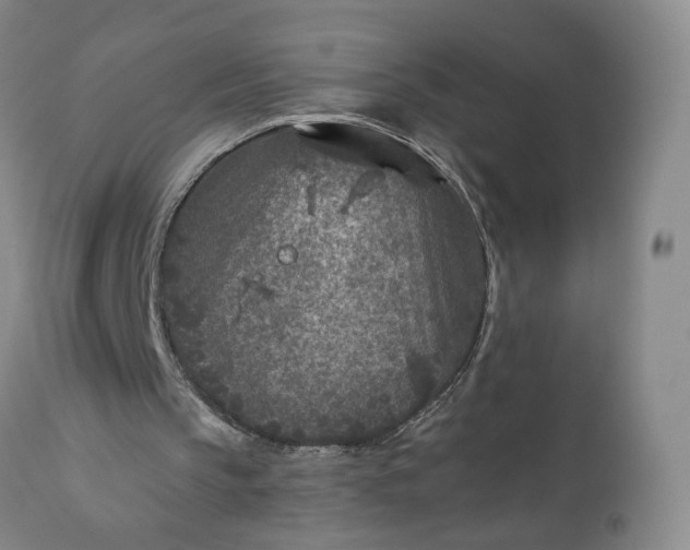 X0000110920145200907021507