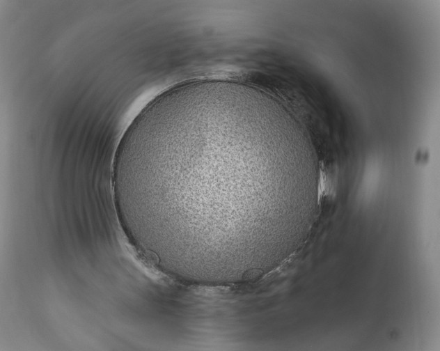 X0000110920147200907021507