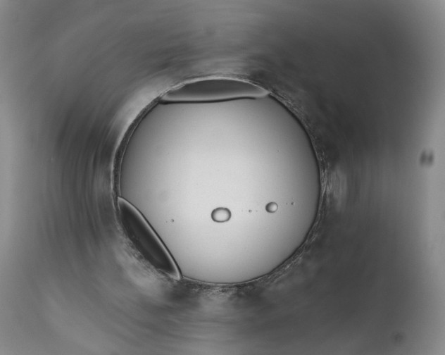 X0000110920148200907021507