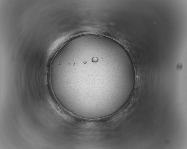 X0000110920149200907021507