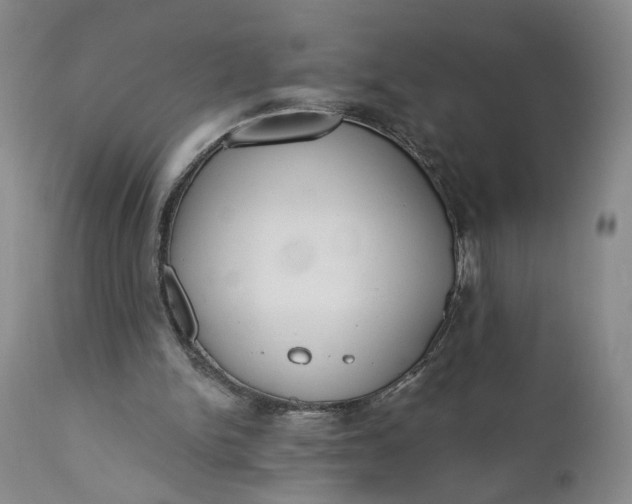 X0000110920150200907021507