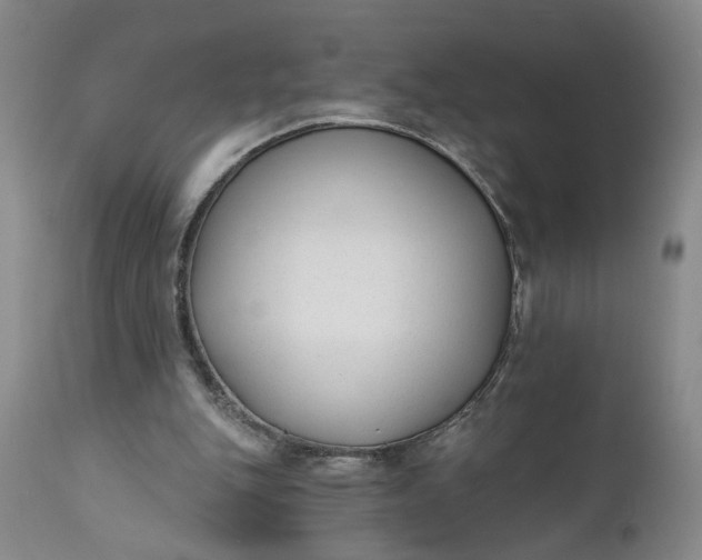 X0000110920151200907021507