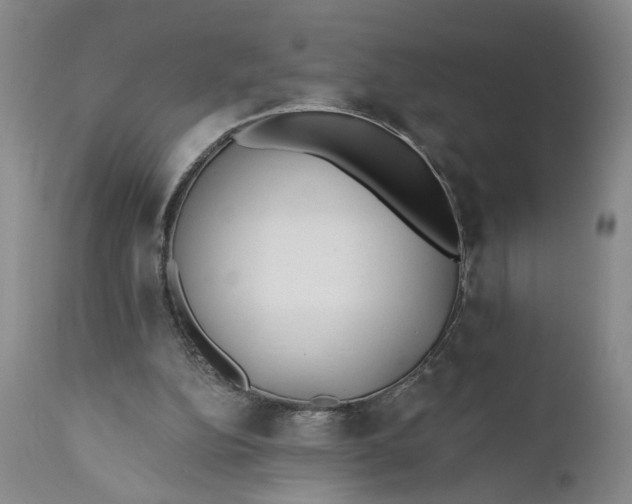 X0000110920152200907021507