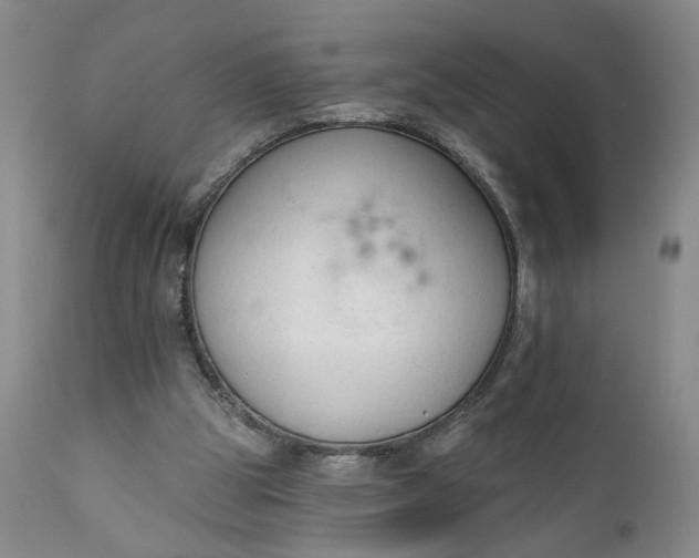 X0000110920153200907021507