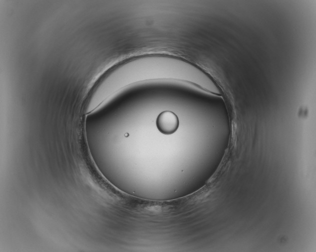 X0000110920156200907021507