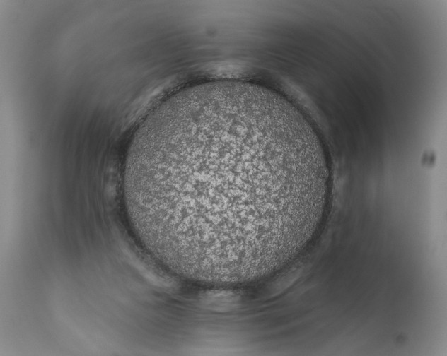 X0000110920161200907021507