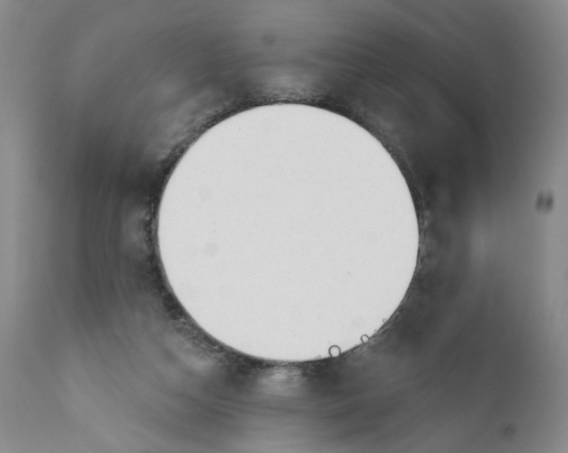 X0000110920162200907021507