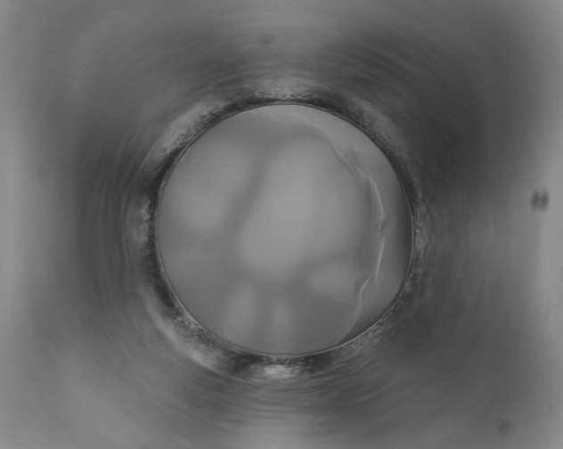 X0000110920163200907021507
