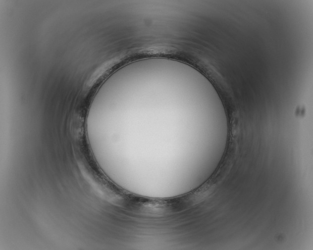 X0000110920164200907021507