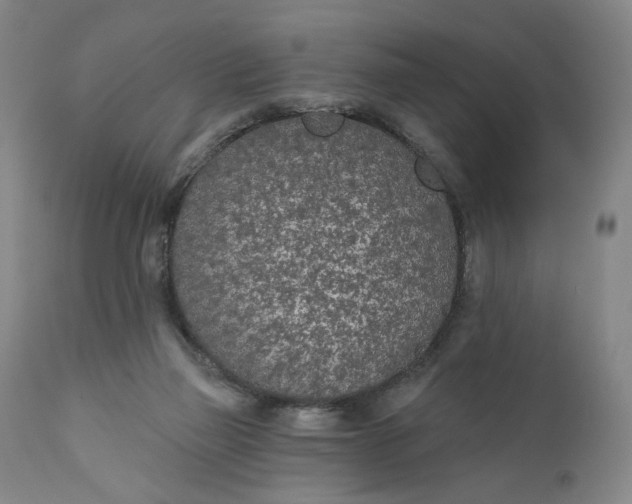 X0000110920165200907021507