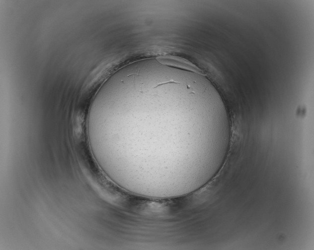 X0000110920166200907021507