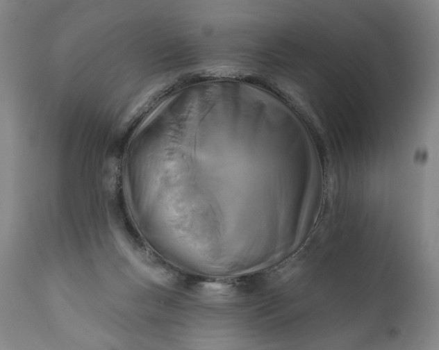 X0000110920167200907021508