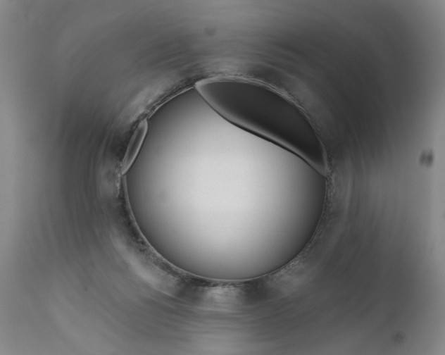 X0000110920168200907021508