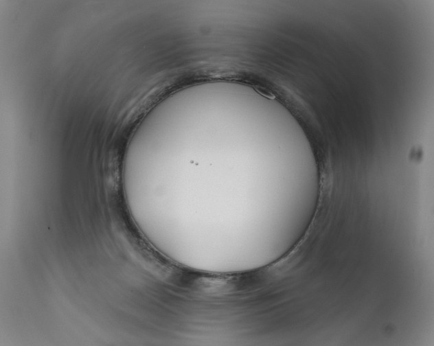 X0000110920170200907021508
