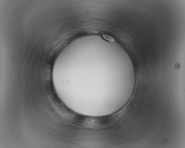 X0000110920174200907021508