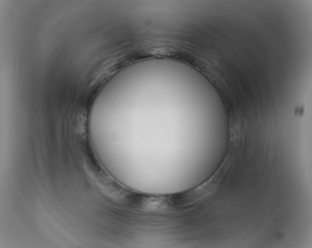 X0000110920175200907021508