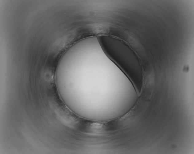 X0000110920176200907021508