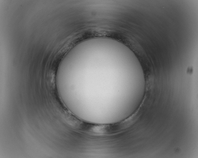 X0000110920178200907021508