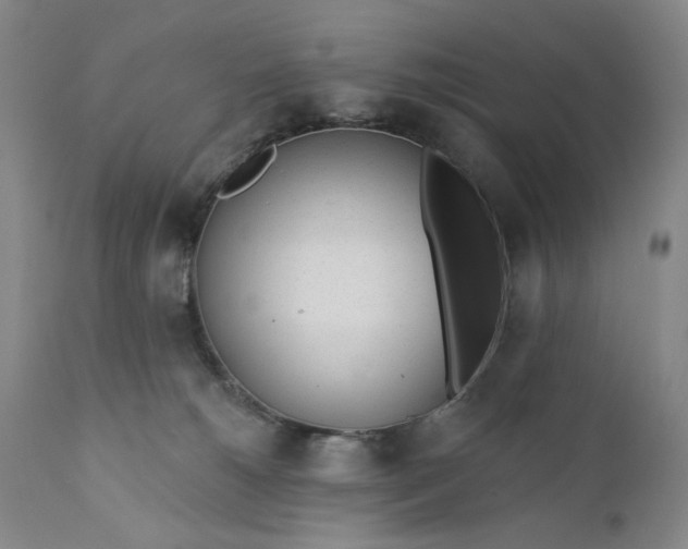 X0000110920180200907021508