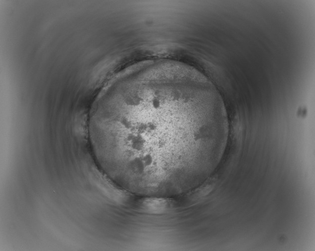 X0000110920181200907021508