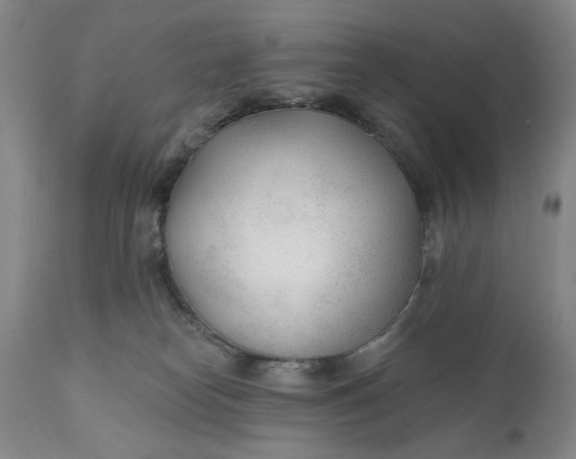 X0000110920182200907021508