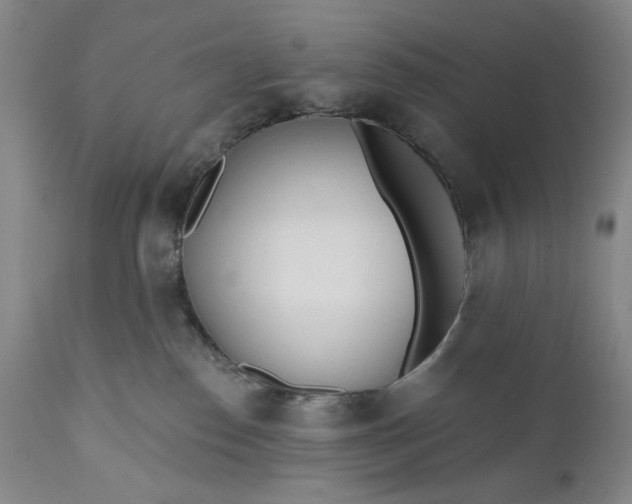X0000110920186200907021508
