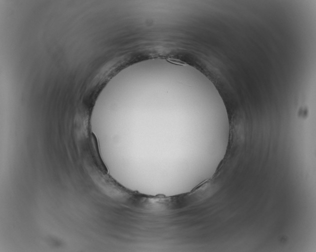 X0000110920188200907021508