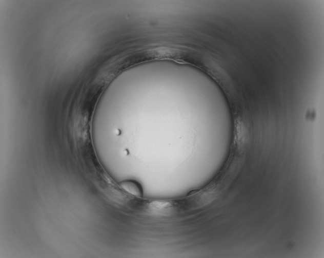 X0000110920189200907021508