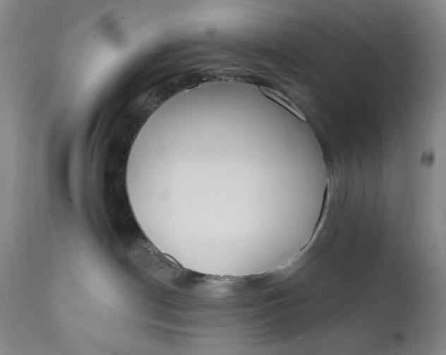 X0000110920190200907021508