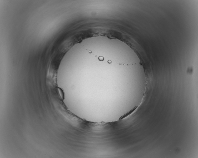X0000110920191200907021508