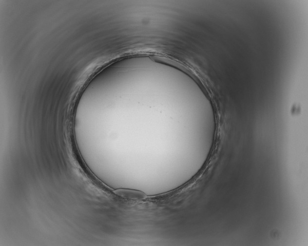 X0000110920193200907021507
