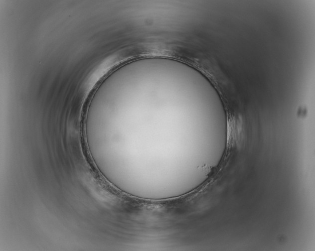 X0000110920195200907021507