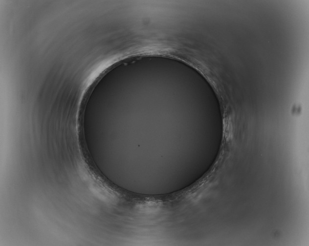 X0000110920196200907021507