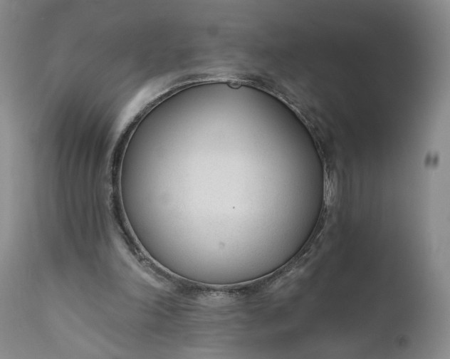 X0000110920198200907021507